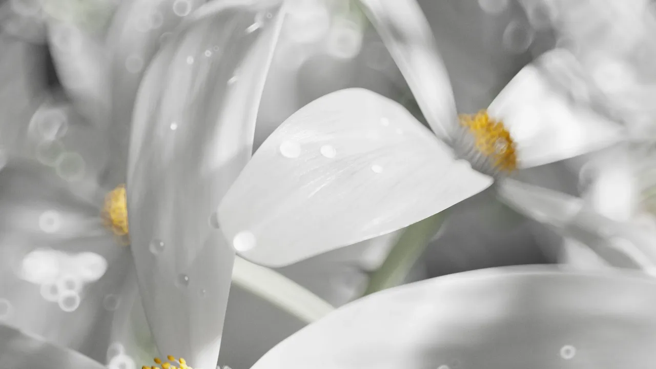 Close-up of white osmanthus petals with yellow stamens, 3D render