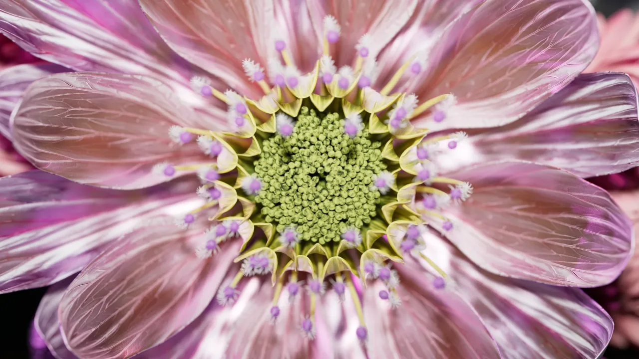 Pink and yellow flower artwork, photorealistic 3D render