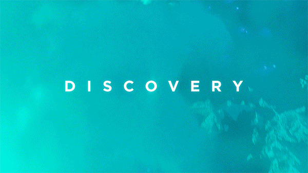 discovery-02